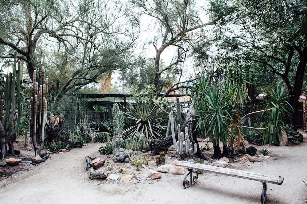 Desert Lodge Palm Springs Extérieur photo